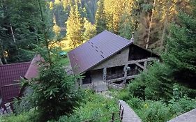 Cabana Zimbru Transfagarasan